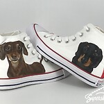 (Supershoes Pair #8208) - Super Jaylen